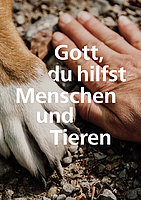 Schöpfung 2025 | © ACK